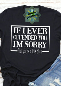 If I Ever Offended You I'm Sorry
