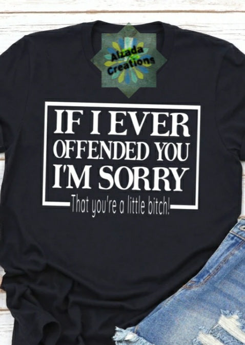 If I Ever Offended You I'm Sorry